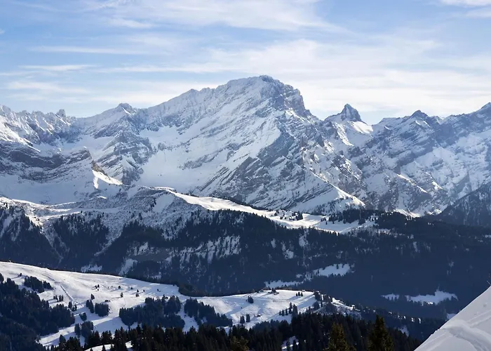 Opale 4 By Interhome Apartman Villars-sur-Ollon